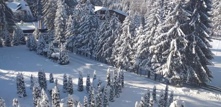 Hotel Miraj Poiana Brasov Buitenkant foto